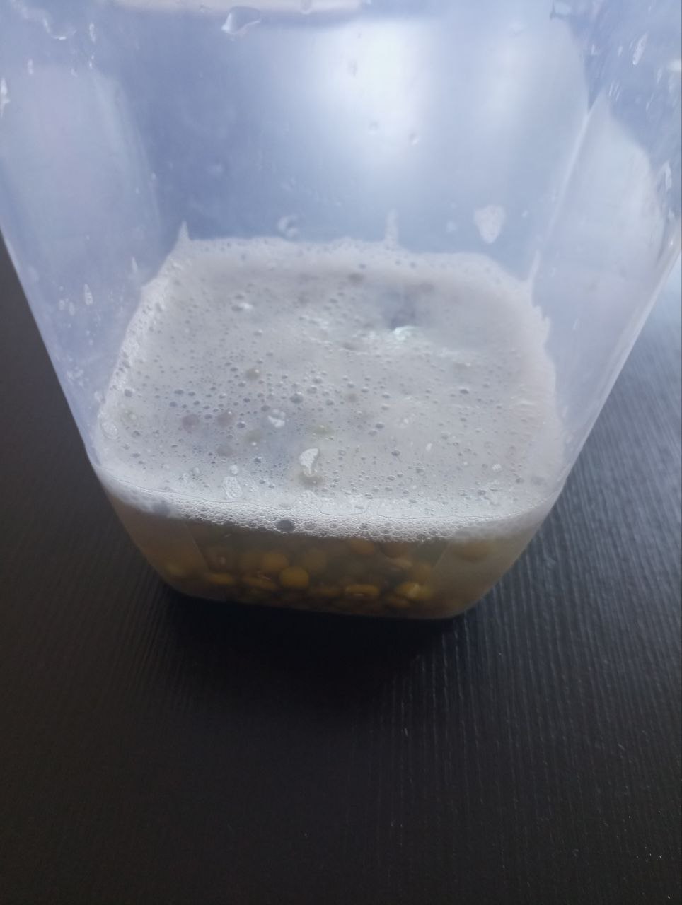 Jar with mung beans and water Jar with mung beans and water